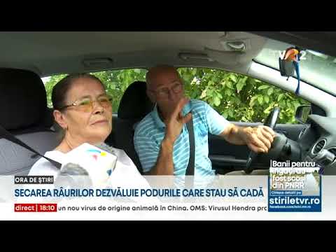 JUD. TIMIȘ | Podul de la Parţa, aflat într-o stare avansată de degradare, deschis traficului
