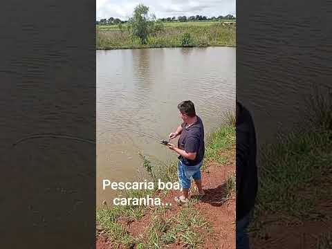 Pescaria em Maurilândia, Goiás. caranha top de linha.