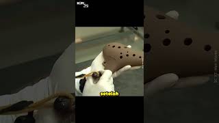 Download lagu How Traditional Clay Flutes Are Made | #Ocarina Musical Instrument #Clay #Hun #kepobit mp3