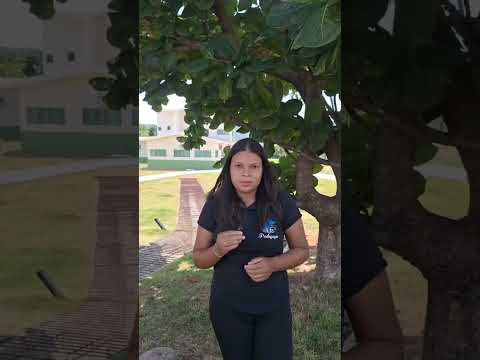 Conhecendo o Patrimônio Histórico de Arraias-To.  Voltado para a turma do 2° ano, com base na BNCC.