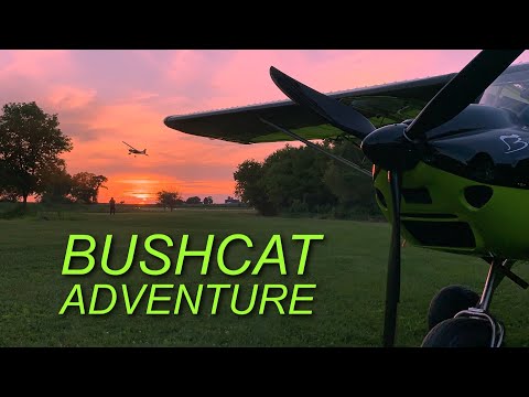 BushCat Adventure - BushCat Life, Let your Dreams Take Flight!