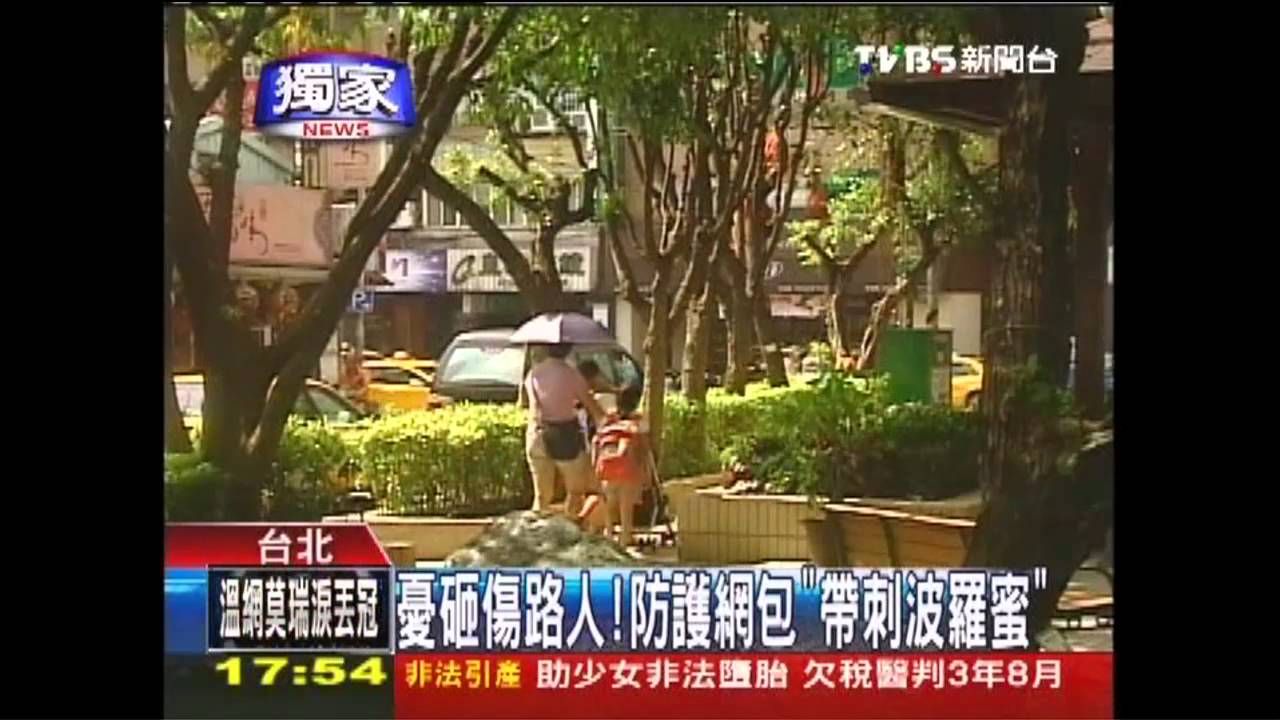 〈獨家〉憂砸傷路人! 防護網包「帶刺波羅蜜」
