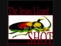 The Jesus Lizard Trephination
