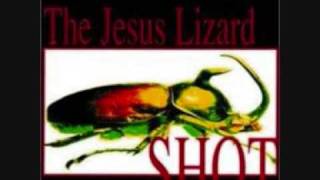 The Jesus Lizard Trephination