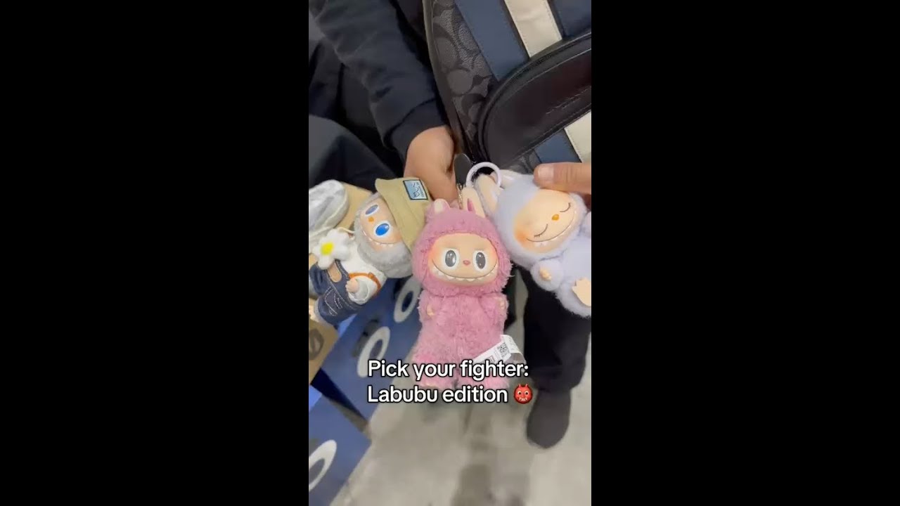 b2edcd27-db86-477a-b4e8-81f8c5e068ac.MP4