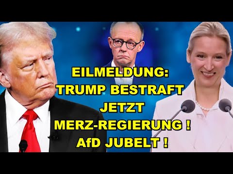 EIL: TRUMP BESTRAFT Merz! AfD JUBELT!