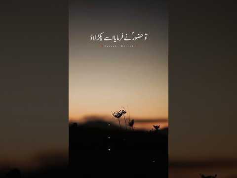 Hazoor ﷺ Nai Farmaya Sai | Peer Ajmal Raza Qadri #shorts #islam #viral