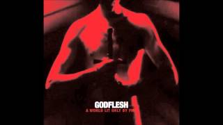 Godflesh - Shut Me Down