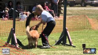 preview picture of video 'The funniest two minutes at the 2012 Wallowa County Fair Dog Agilitiy'
