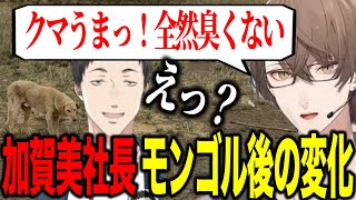 クレアさんの逆凸、モンゴルの犬新規ビジュ公開、帰国後やしきずとの食事で変わった自分に気づいた加賀美社長【にじさんじ切り抜き/加賀美ハヤト】