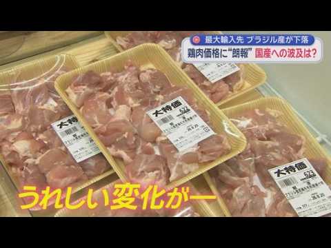 YouTube Video ブラジル産の鶏肉が値下がり　国産価格の押し下げにつながるか　静岡県