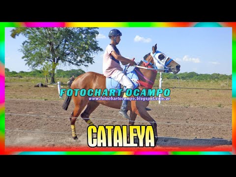 CATALEYA - Paso Martínez - Corrientes 11/02/2023
