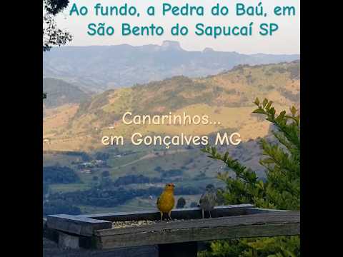 Canarinhos e a Pedra do Baú #arquiteturadocafe #gonçalves #minasgerais #sãobentodosapucaí #canarios