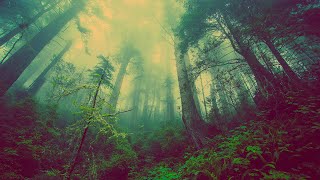 MÚSICA PARA LIMPIAR LA ENERGÍA NEGATIVA DE NUESTRA CASA - 432 HZ