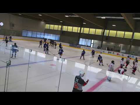 Eishockey DEBL1 Villach - KMH