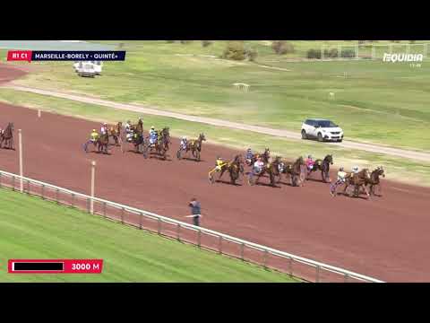 Grand National du Trot Paris-Turf 2018 - Etape 2 Marseille-Borély - La course - CLEANGAME