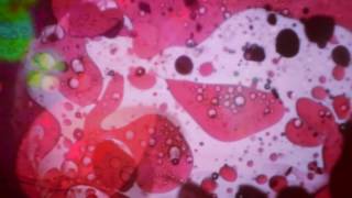 Rosey PM - Goo [Visual]