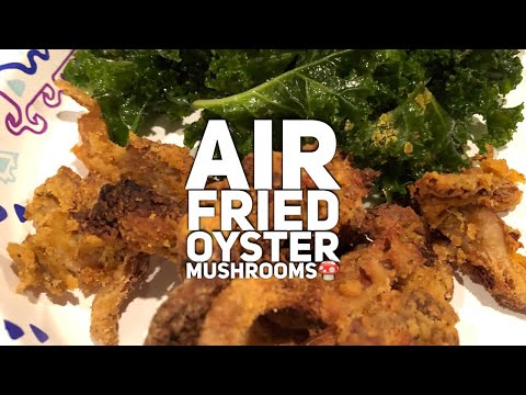 download lagu mp3 mp4 Air Fried Mushroom Chips, download lagu Air Fried Mushroom Chips gratis, unduh video klip Air Fried Mushroom Chips