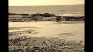 'Seaward in Spring' - English Air - Harp, Medieval Fiddle, Whistle and Organ