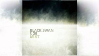 Black Swan & 36 - Mist