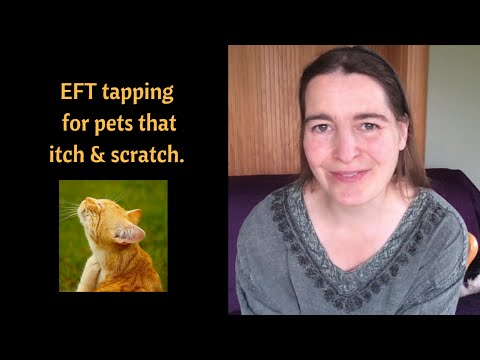 EFT tapping for pets that itch and scratch.