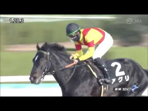 Aguri (JPN) wins race 10 at Hanshin 12/18/2022