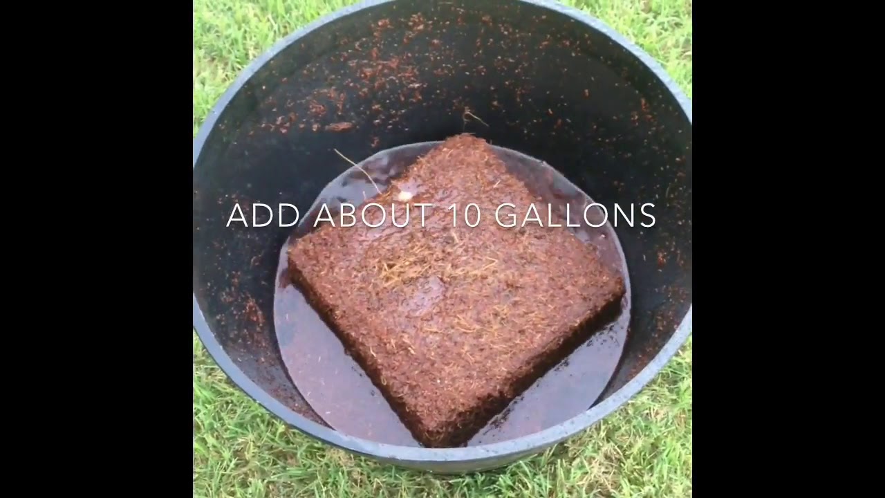 How To Expand The Best Coco Coir