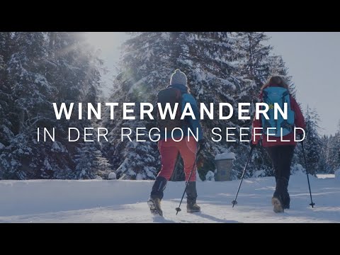Winterwandern in der Region Seefeld | Winterweitwandern in Tirol