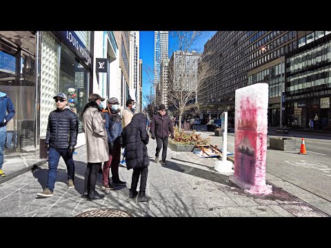 Toronto LIVE Part 2: ICEFEST & Downtown  (March 13, 2021)