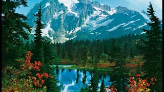 Big Rock Candy Mountain / Rangers.