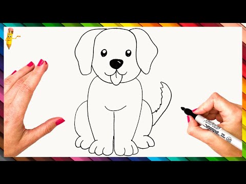 How To Draw A Dog Step By Step 🐕 Dog Drawing Easy
