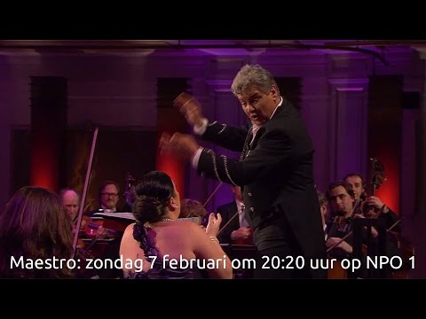Francis in Maestro 7-2-16