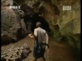 Steve Irwin Crocodile Hunter The Black Mamba 2 4
