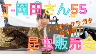 【T-岡田さんの昆虫販売会】ほしかったノコギリクワガタを購入できました★