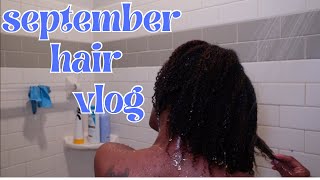 SEPTEMBER HAIR DIARY: Fall wash day routine, straight to curly routine | NEW FAVE WASH N GO COMBO