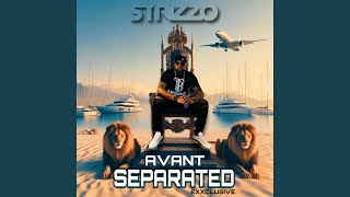 Separated (feat. Avant) (Strizzo Exxclusive)