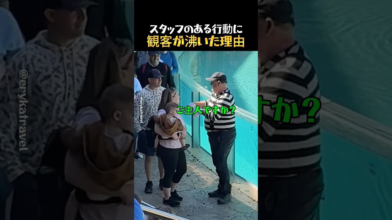 全員が歓声を上げたスタッフの行動