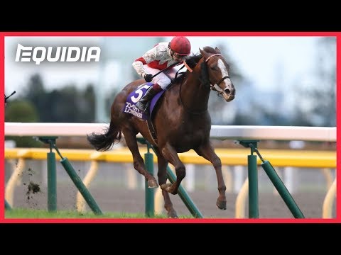 JAPAN CUP 2019, SUAVE RICHARD DECROCHE LE GRAAL ! | Tokyo | Groupe 1