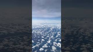 Intro - El Viaje (Calle 13) #literatura #eduardogaleano #fragmentos #calle13 #viaje #poema