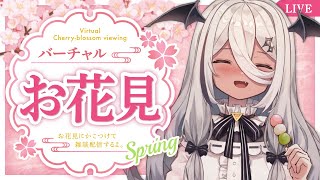 【雑談】一ヶ月ぶり、、、？？？【陽夏のの / Vtuber 】