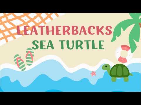 Biodiversity Awareness Video: Leatherback Turtles