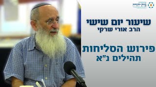 פירוש הסליחות – תהילים נ"א – "הָשִׁיבָה לִּי שְׂשׂוֹן יִשְׁעֶךָ וְרוּחַ נְדִיבָה תִסְמְכֵנִי"