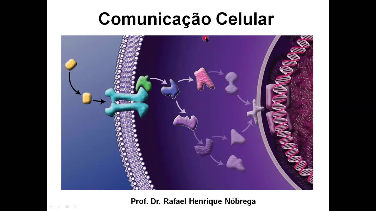 Aula Comunicação Celular