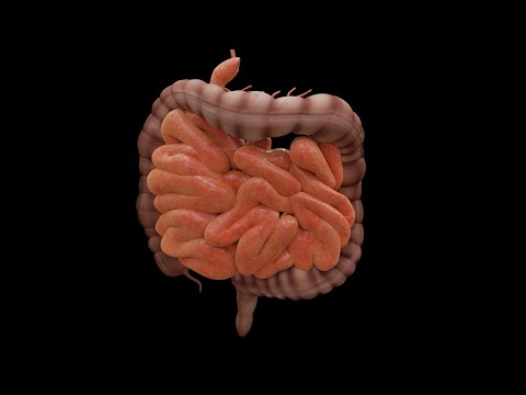 Música para sanar los intestinos