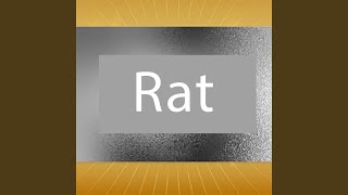Waynekelly - Rat video