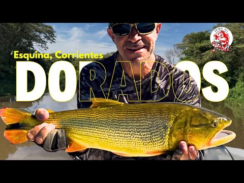 Volvimos por la revancha de los dorados en Esquina, Corrientes 😱🔥