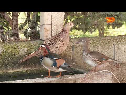 Ne Shtepine Tone, 24 Qershor 2016, Pjesa 5 - Top Channel Albania - Entertainment Show