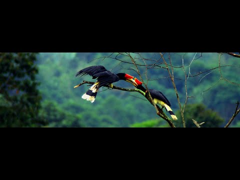 Please Love Me Forever : Bobby Vinton