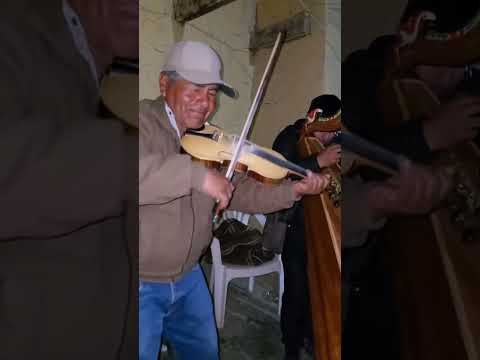TE SIGO AMANDO - ARPA Y VIOLIN
