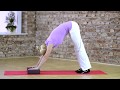 SISSEL Yoga Block Bordeaux